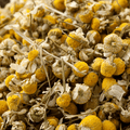 Chamomile: The Natural Sleep Aid You Need to Try