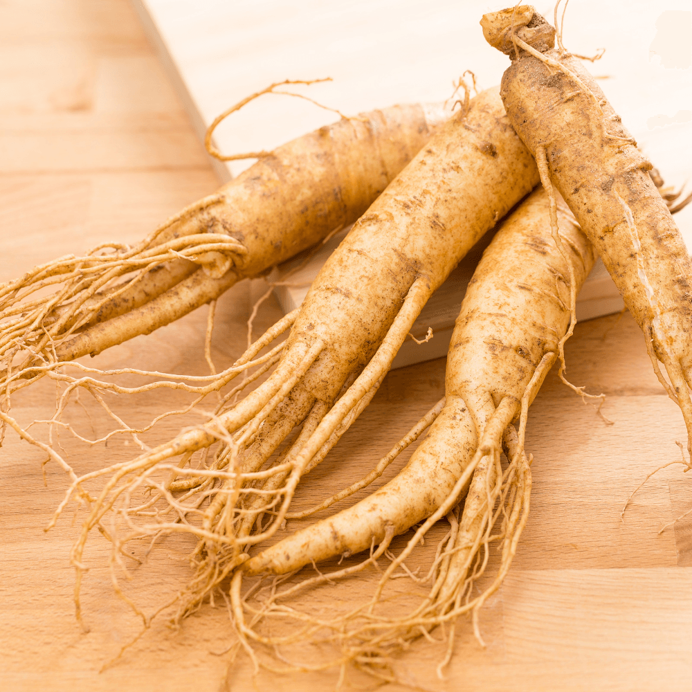 The Power of Korean Ginseng: Enhancing Mental Energy, Reducing Fatigue, and Improving Exercise Performance