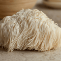 Lion's Mane: The Mighty Mushroom for Enhanced Cognitive Function